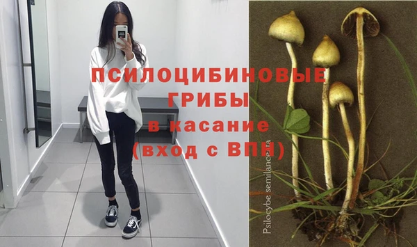 Альфа ПВП Осташков