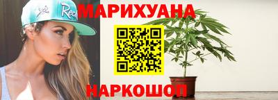прущие крисы Будённовск