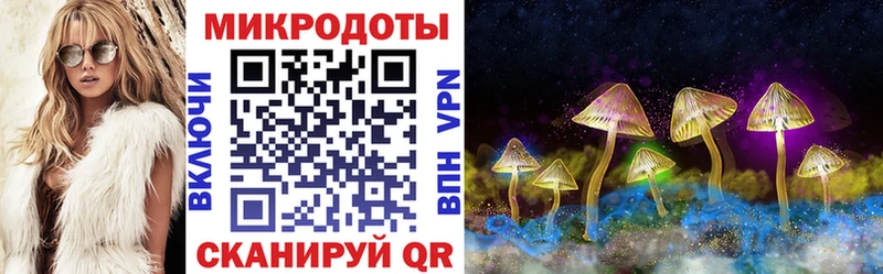 Галлюциногенные грибы прущие грибы  Кольчугино 