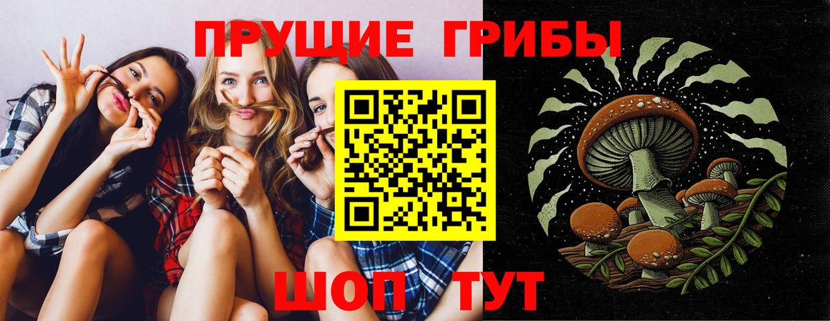 купить наркотики сайты  Галлюциногенные грибы GOLDEN TEACHER  Вход с VPN  Кольчугино 