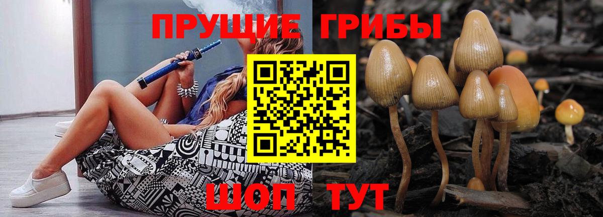 COCAIN Кольчугино