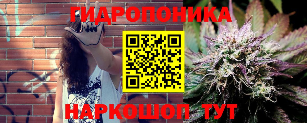 Марихуана White Widow  Бошки марихуана THC 21%  Вход с VPN  Марихуана MAZAR  Кольчугино  Каннабис конопля 